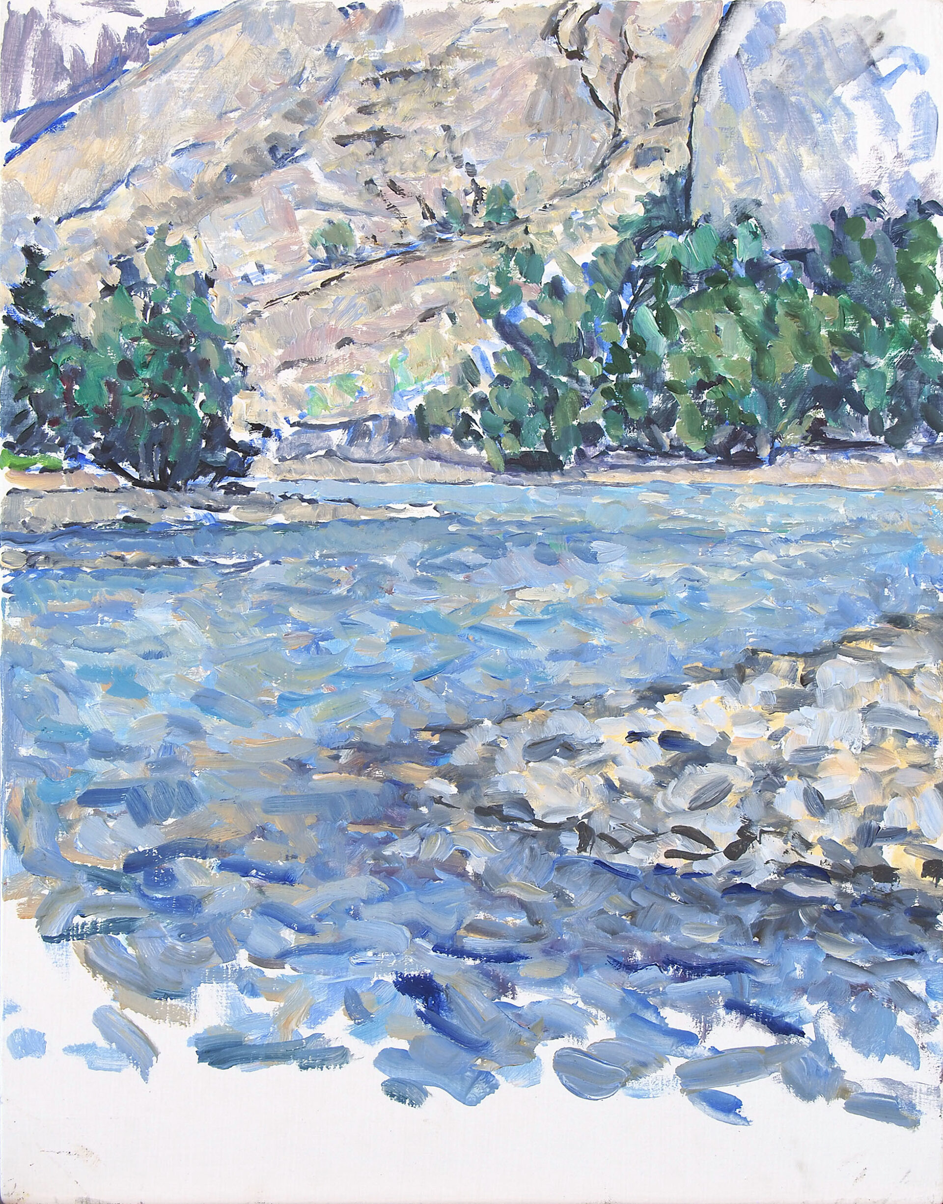 Bilder aus der Rheinschlucht