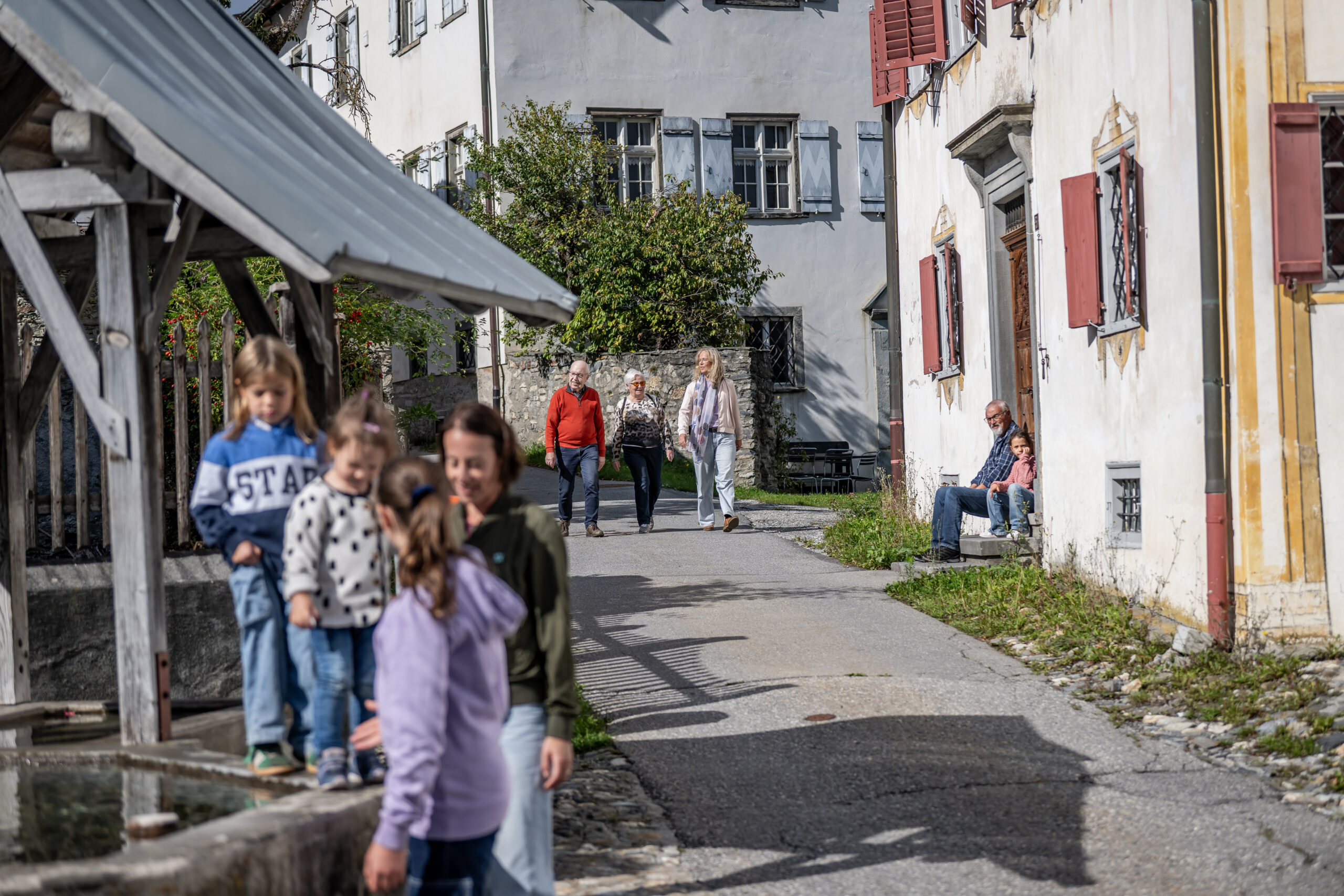Aus dem Dornröschenschlaf  erwacht